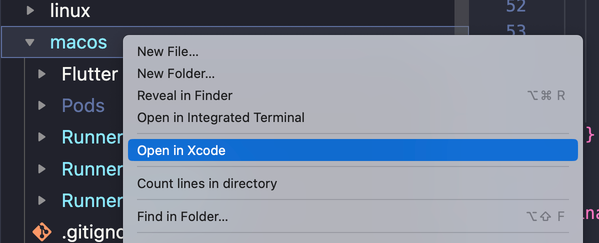 Opening the macOS project in Xcode