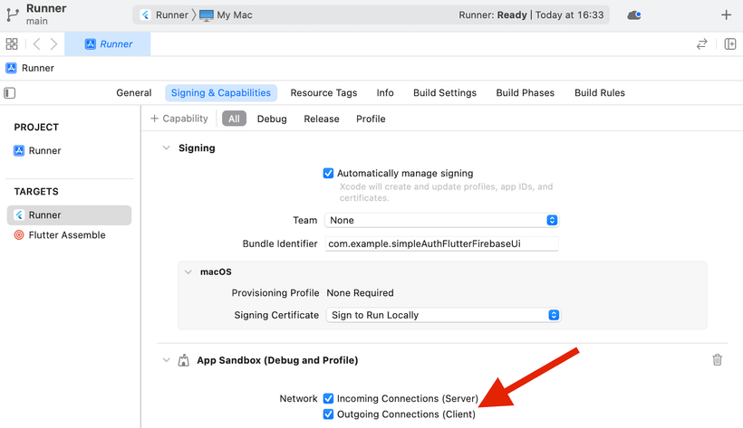 Enabling Outgoing Connections (Client) in the App Sandbox section