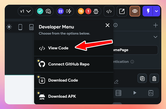 The View Code option in the developer menu