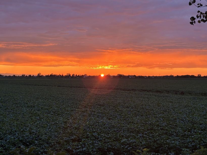 New beginnings: a photo of sunrise on the day after I moved to Italy