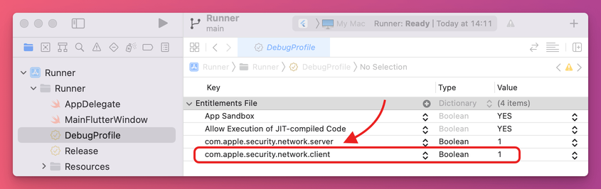 DebugProfile.entitlements file with the client network entitlement