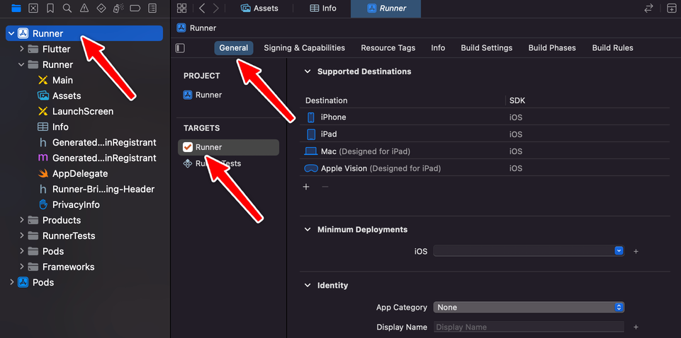 Xcode project settings (General tab)
