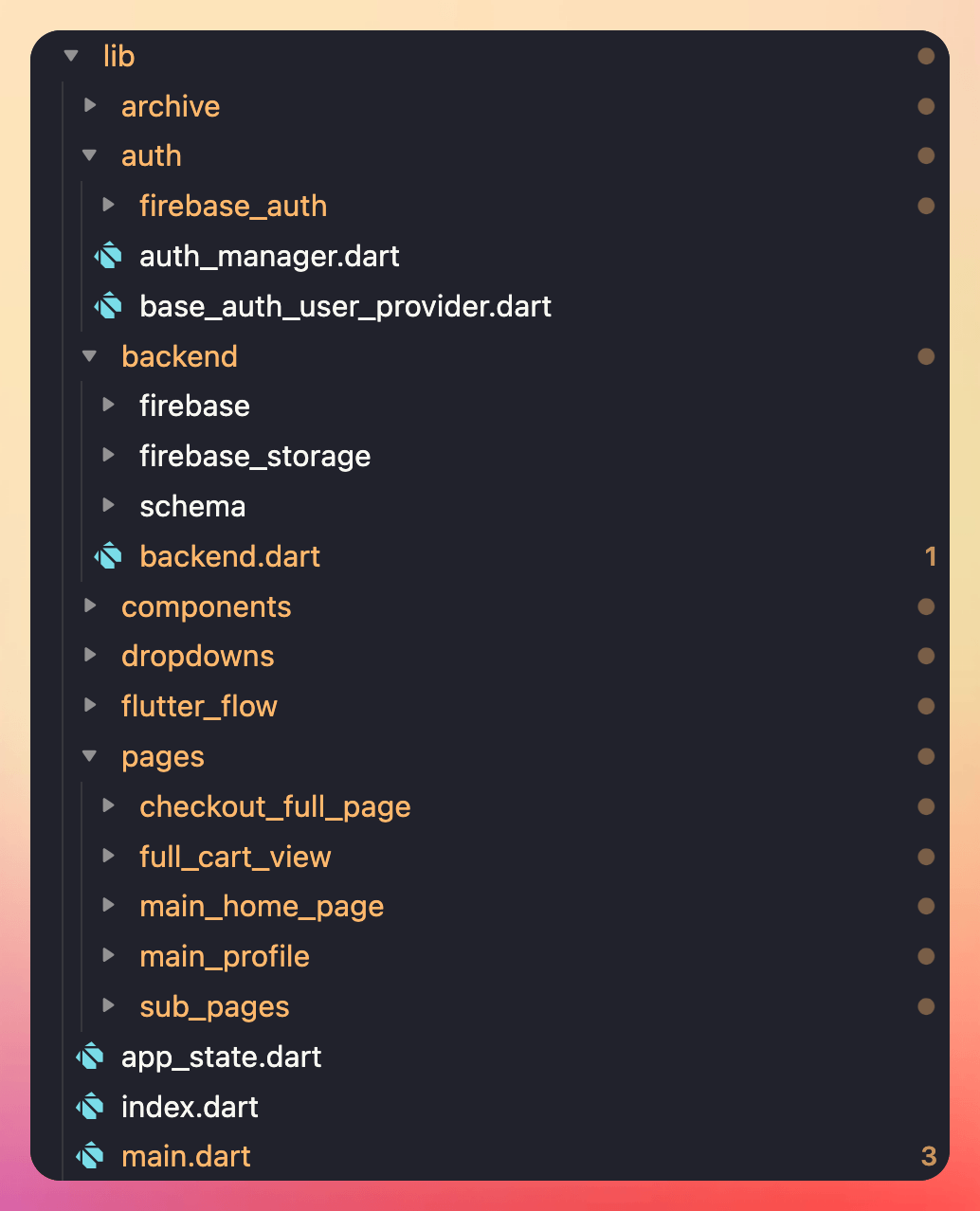 FlutterFlow directory structure